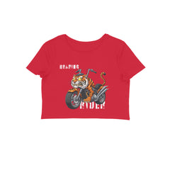 Front View - 5719538