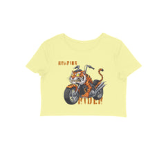 Front View - 5719543