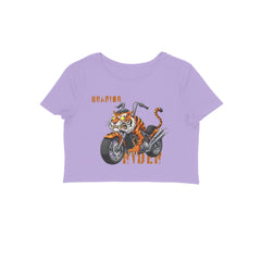 Front View - 5719546