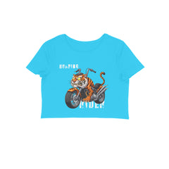 Front View - 5719534