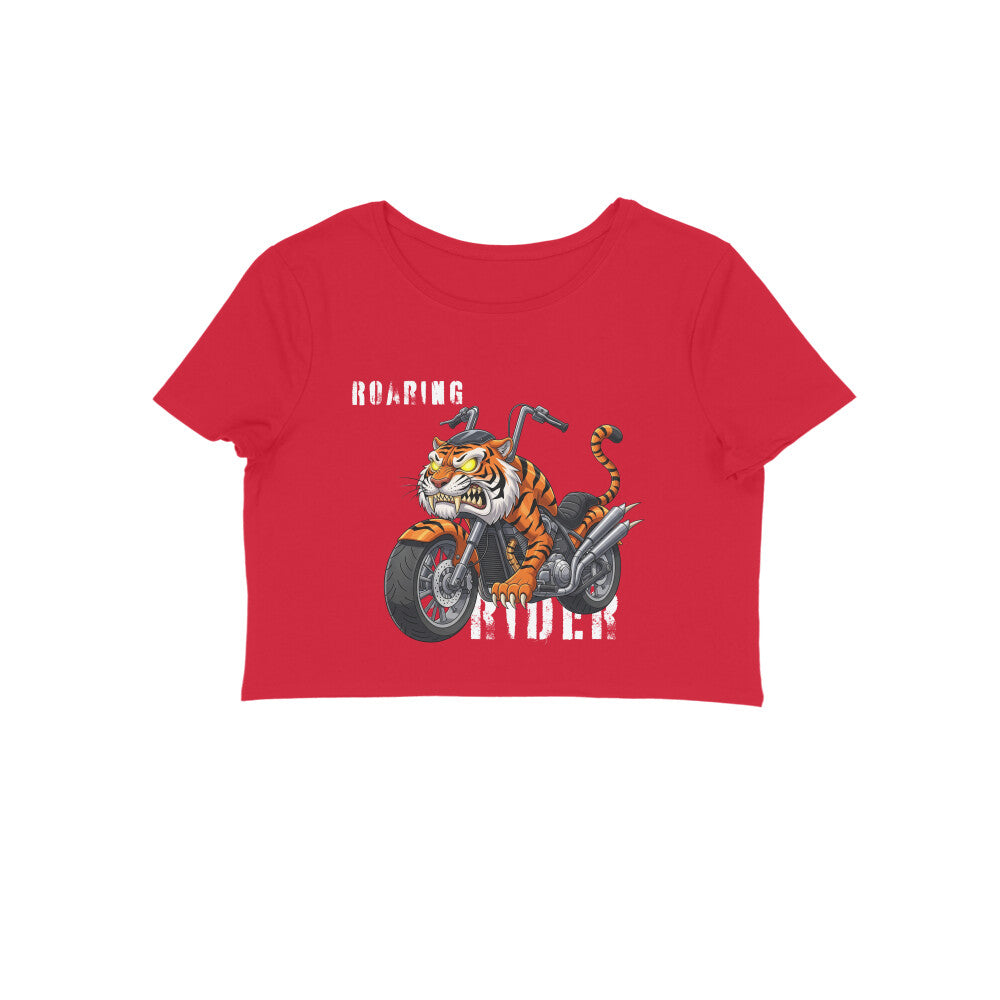 Front View - 5719538