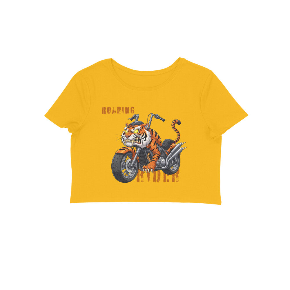 Front View - 5719544